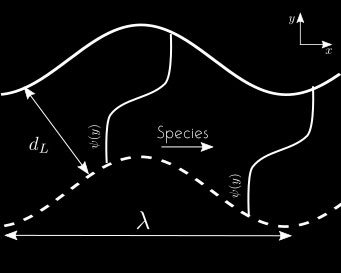 Mass transport drawing